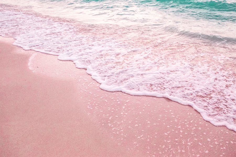 Pink sand beach with gentle waves under a clear sky